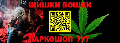 индика Будённовск
