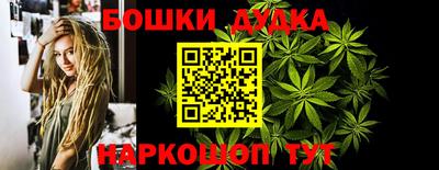 индика Будённовск