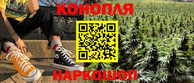 индика Будённовск