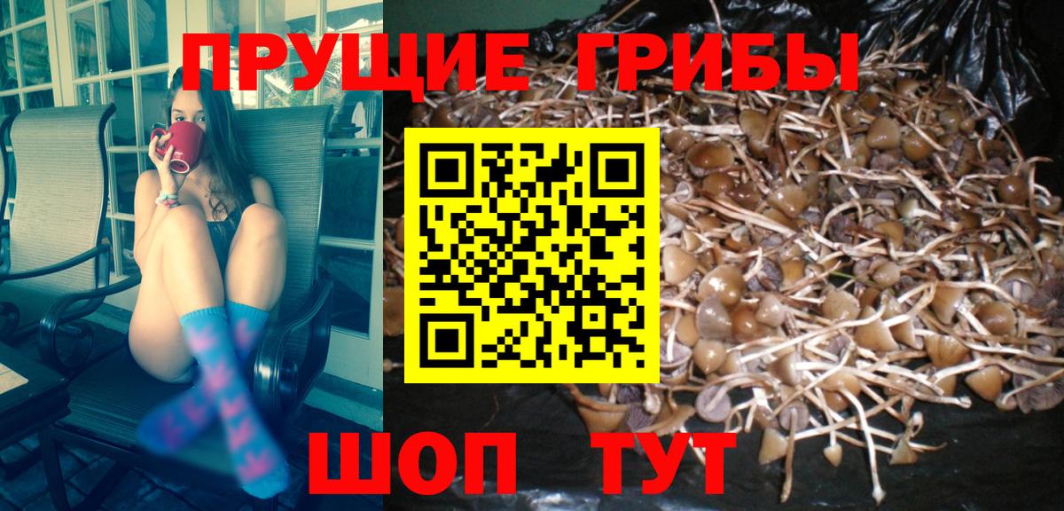 Псилоцибиновые грибы Magic Shrooms Усолье-Сибирское